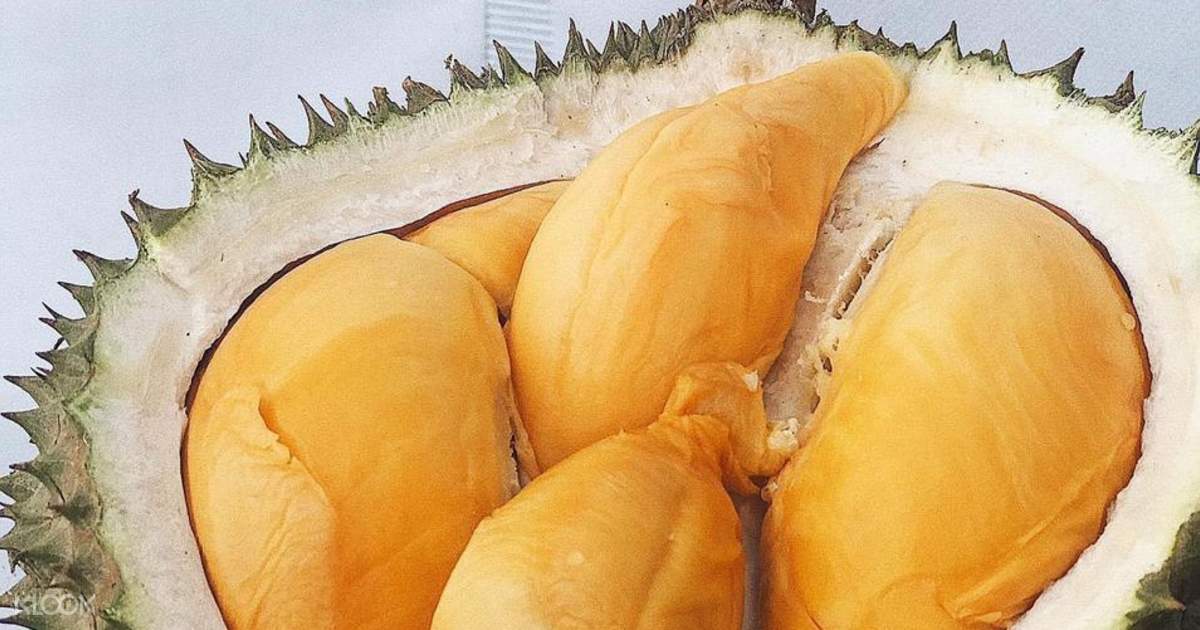 Durian Hours Delivery in Klang Valley Klook United States US